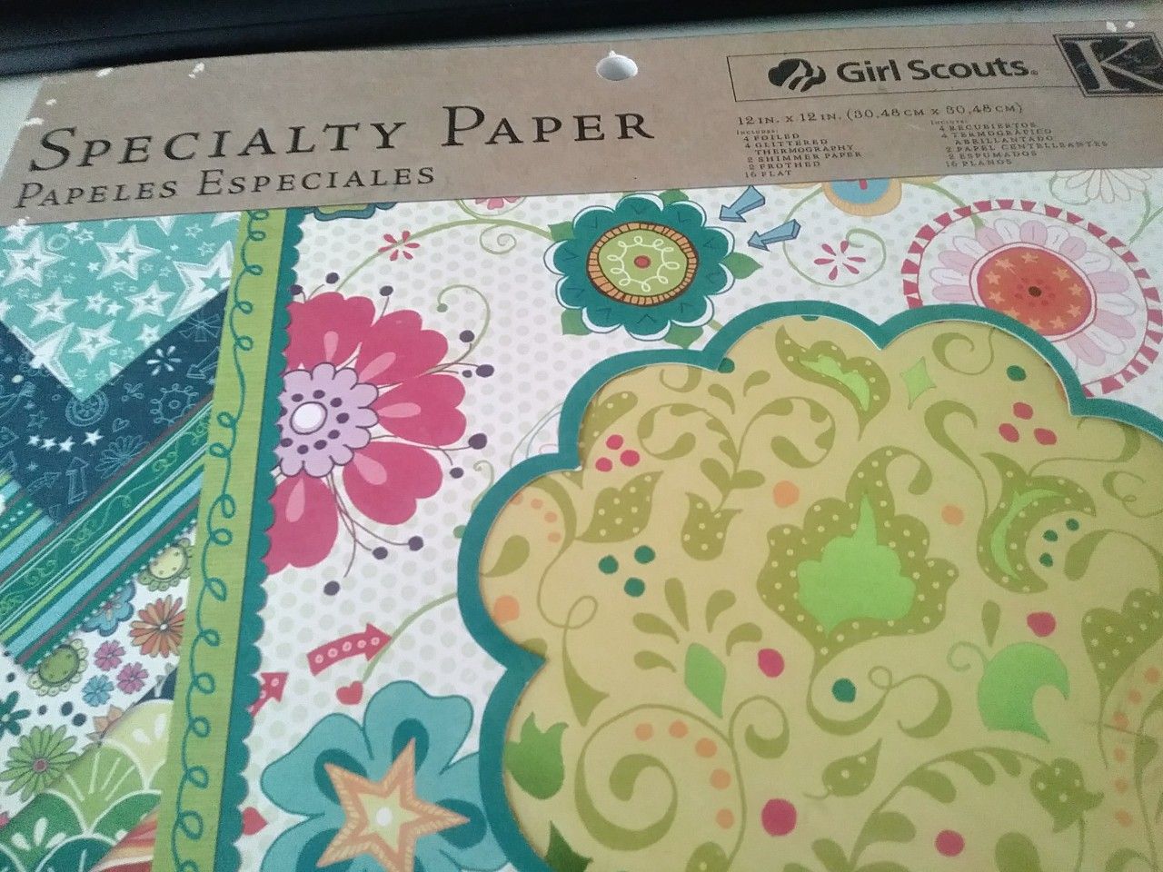 Book of Girl Scout 12 x 12 cardstock scrapbooking paper