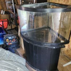 55-gallon Bowfront Tank And Stand. No Leaks.