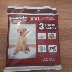 Pet Training Pads 