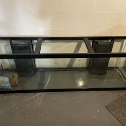 125 Gallon Tank