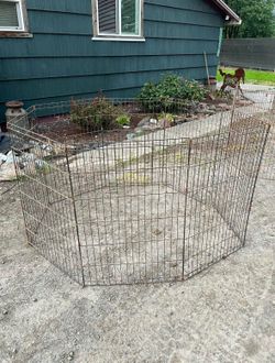 36” Dog Playpen Good Condition Needs Cleaning