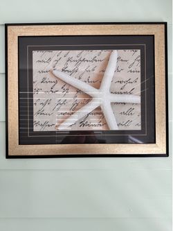 Framed Costal pictures