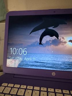 HP Stream Laptop (Purple)