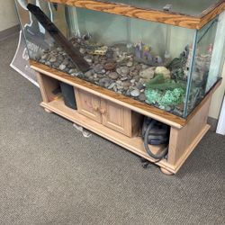 Large Fish Tank