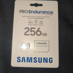 Samsung SD card 256 GB pro endurance