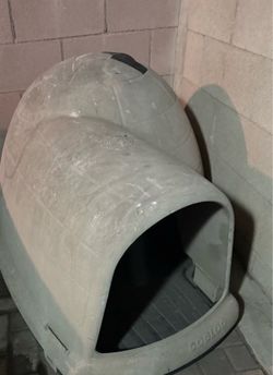 Dog igloo House