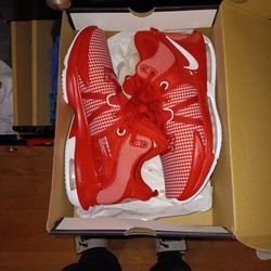 Size 11 LeBron James 