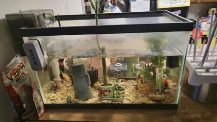10 Gallon Tank
