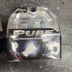 H11 Headlight Bulbs 