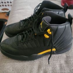 Black Jordan 12s