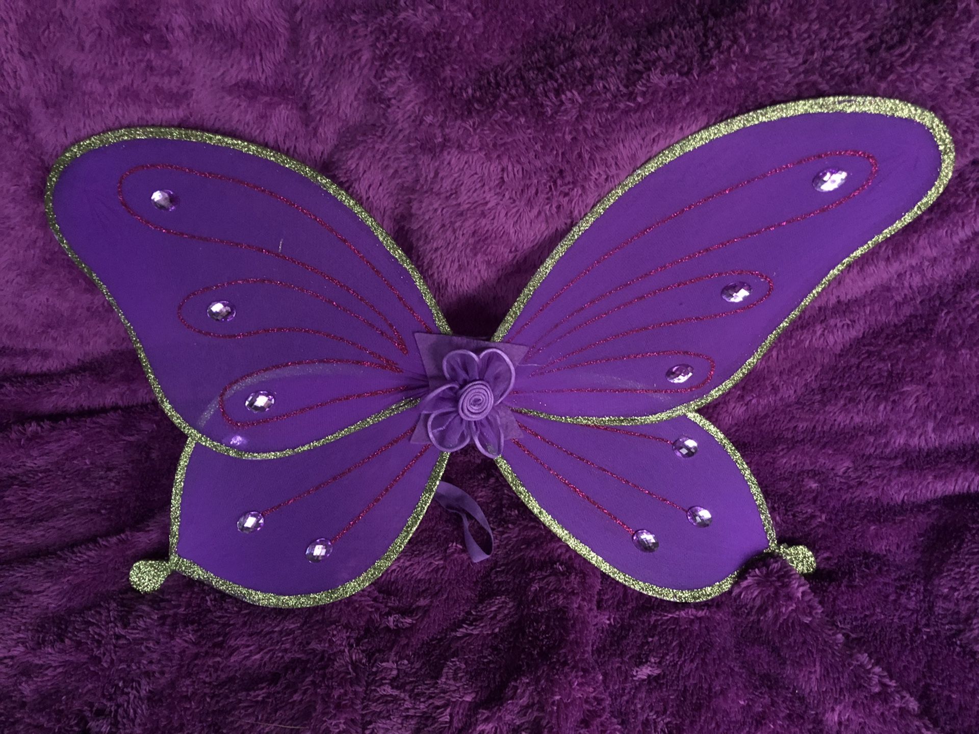 Butterfly or Fairy Wings
