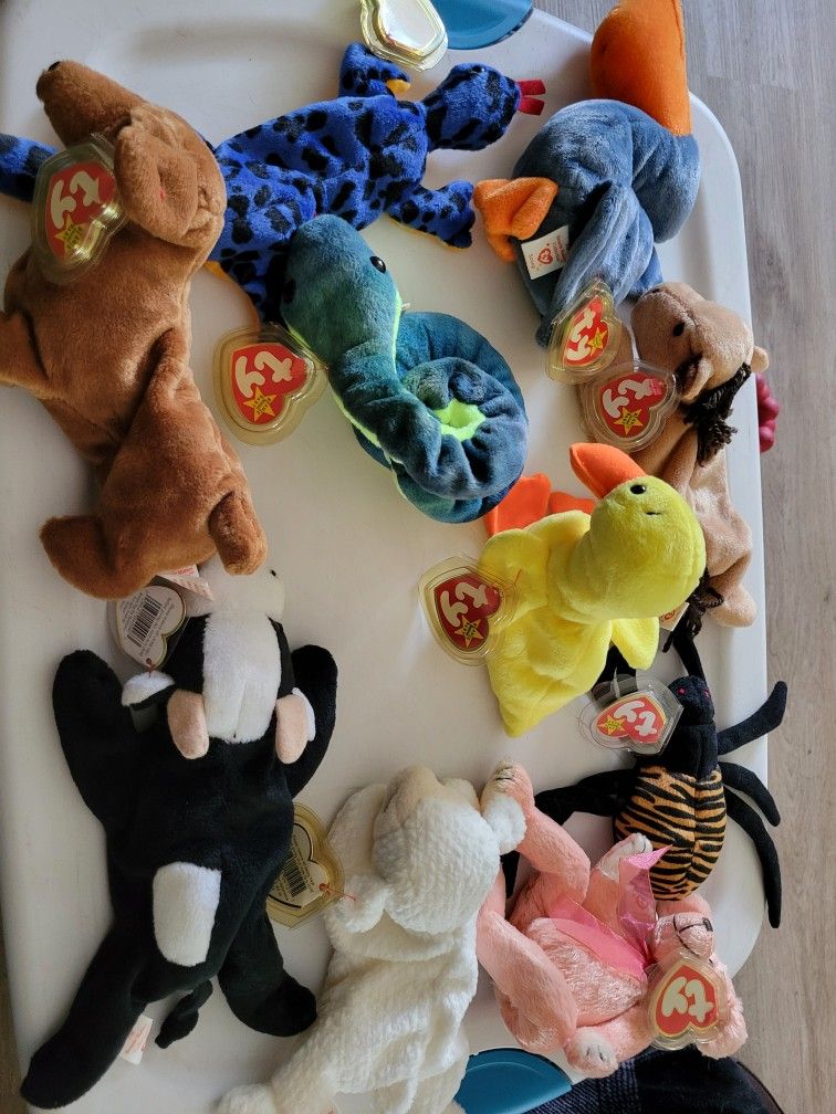 Beanie Babies