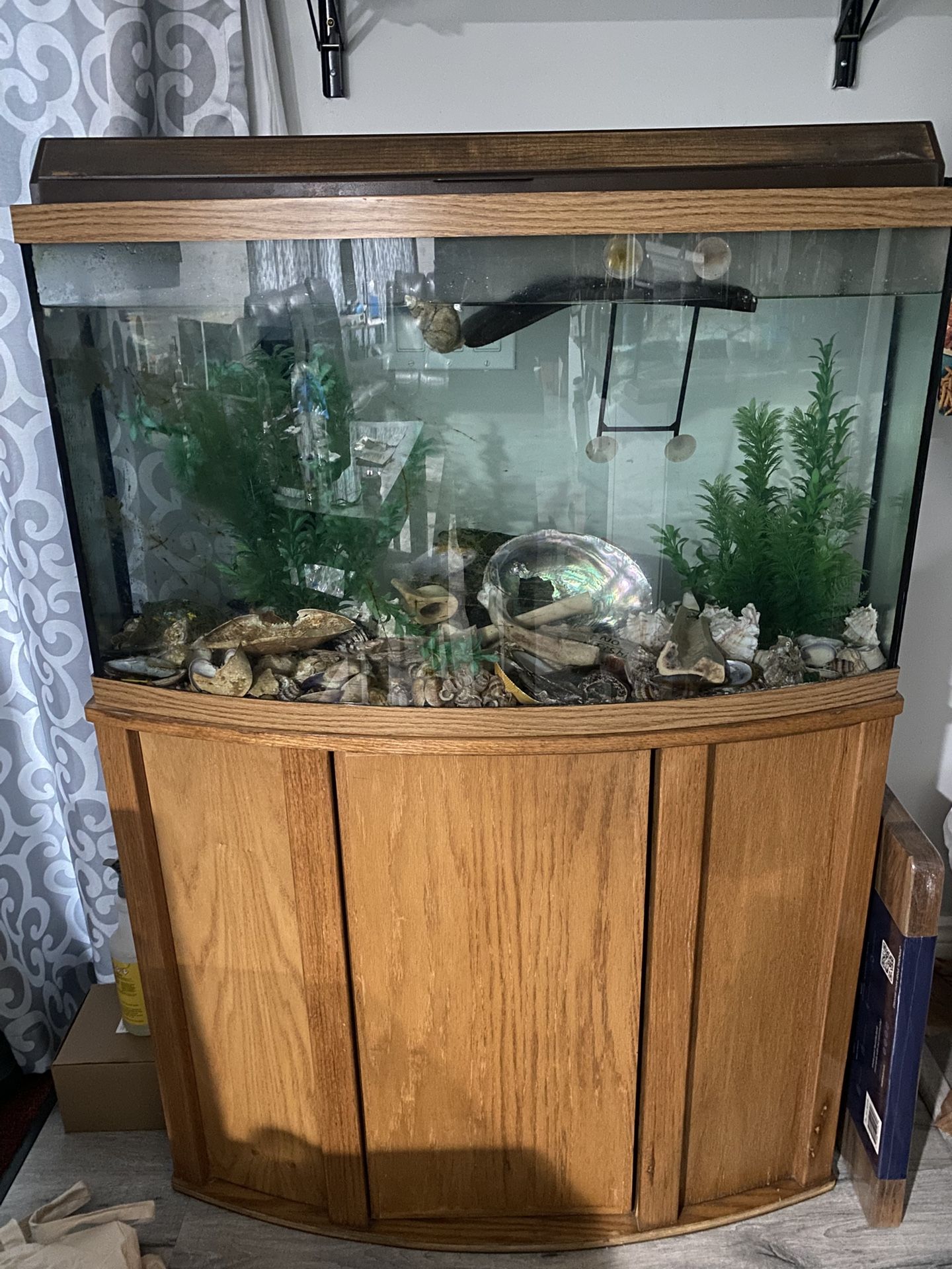 Fish Tank