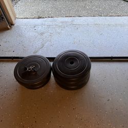 Weight Set- Bar And 100 Lbs Of Weights