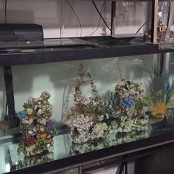 75gal AQUARIUM W/STAND