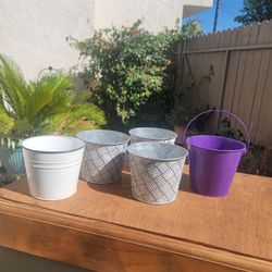 Plant Pots , In Great Condition And Gorgeous 