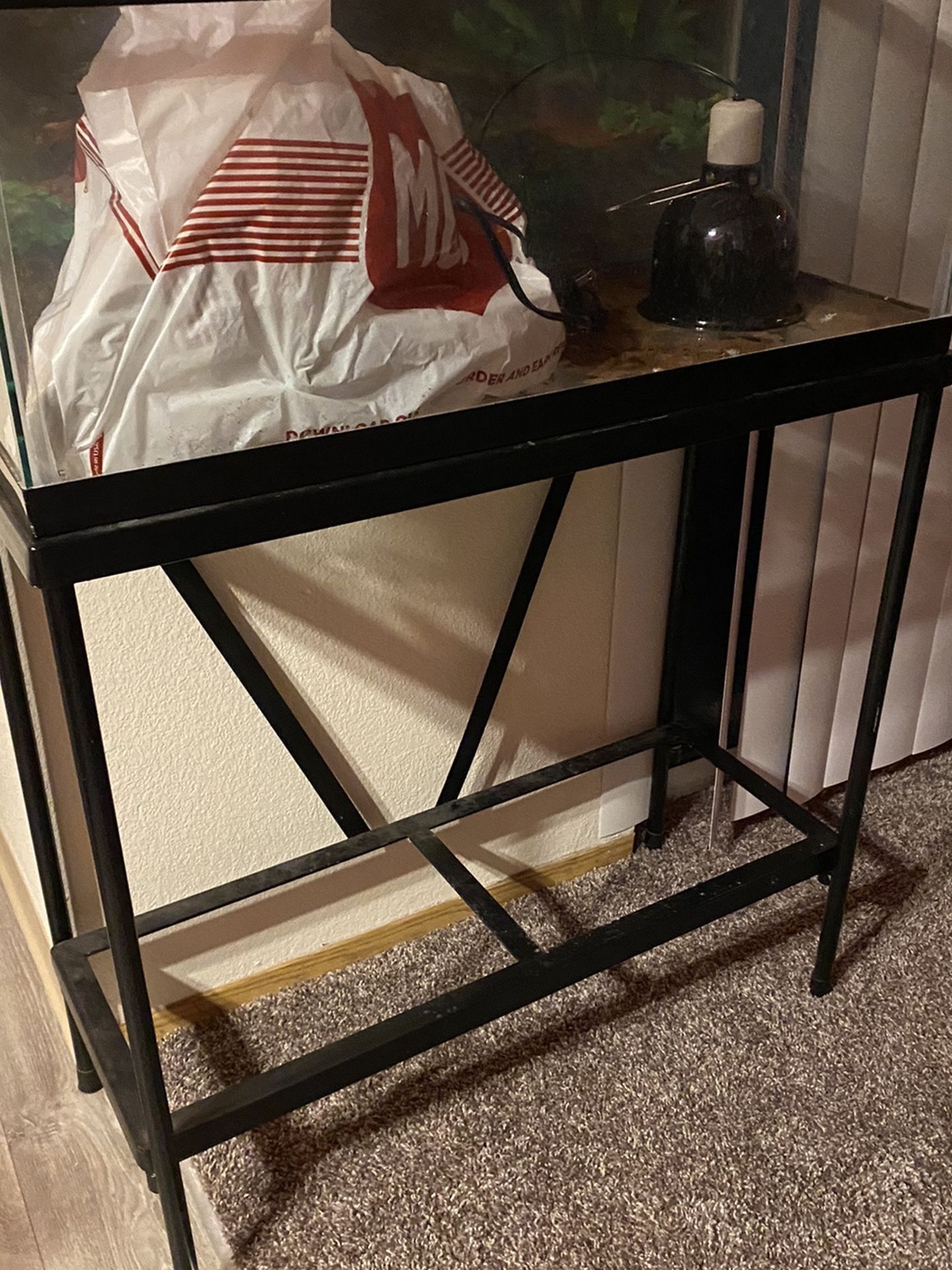 Small Reptile Tank W/ Stand