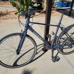 Giant Escape 2 Bicycle 