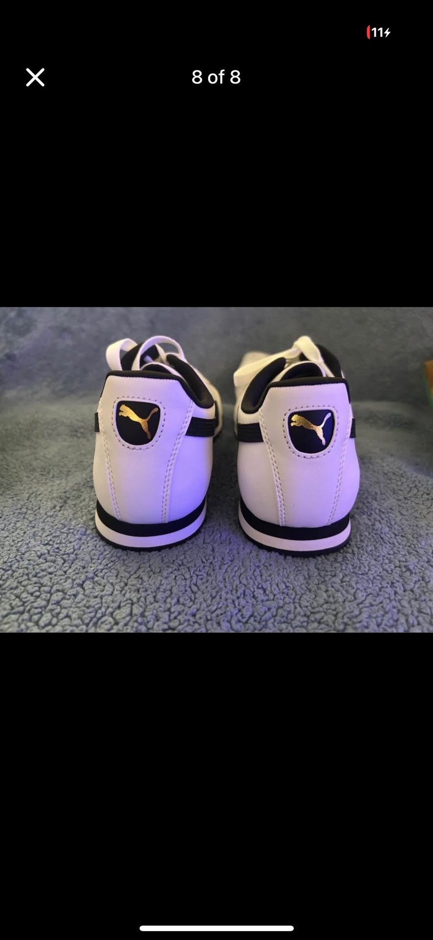 Pumas Basic