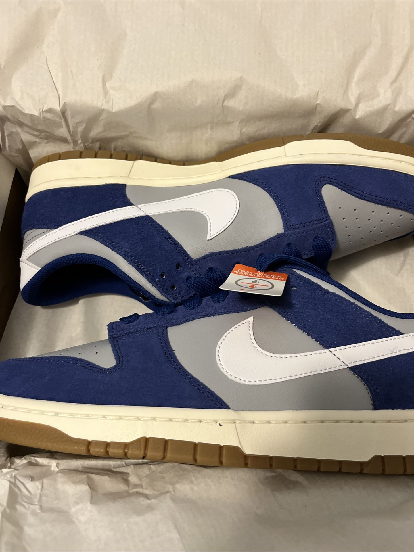 nike dunk low retro Se size 12