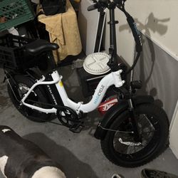 Jaguarundi 2.0 Torque Sensor Folding Fat Tire Ebike