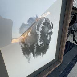 Buffalo wall art