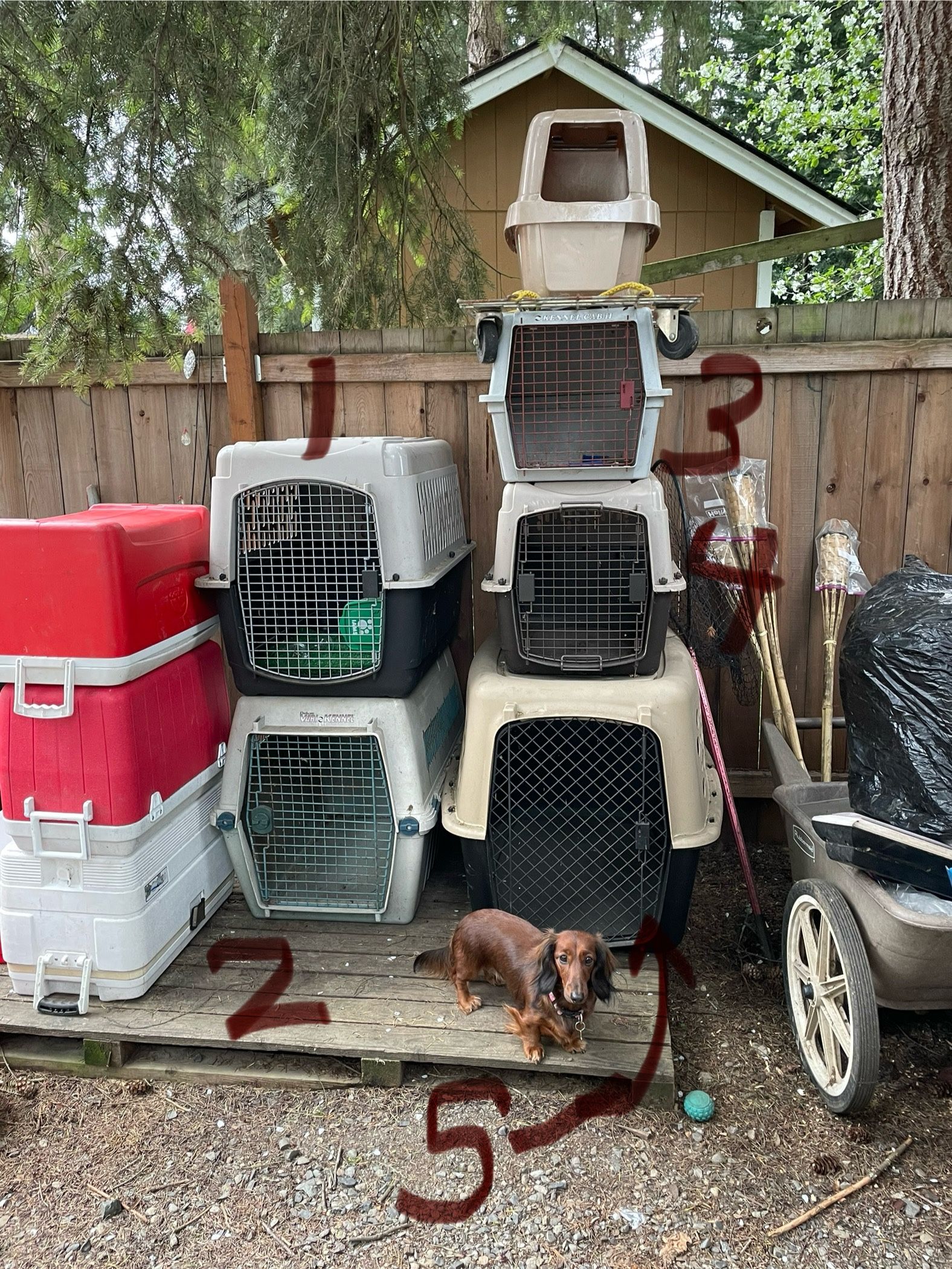 Dog Crates