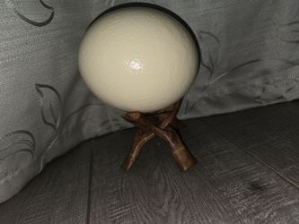 Ostrich egg