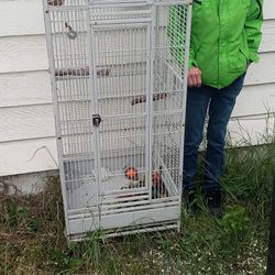 5 feet 4 inches tall, bird or reptile cage.