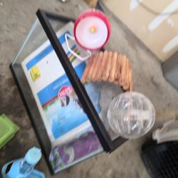 Hamster Setup