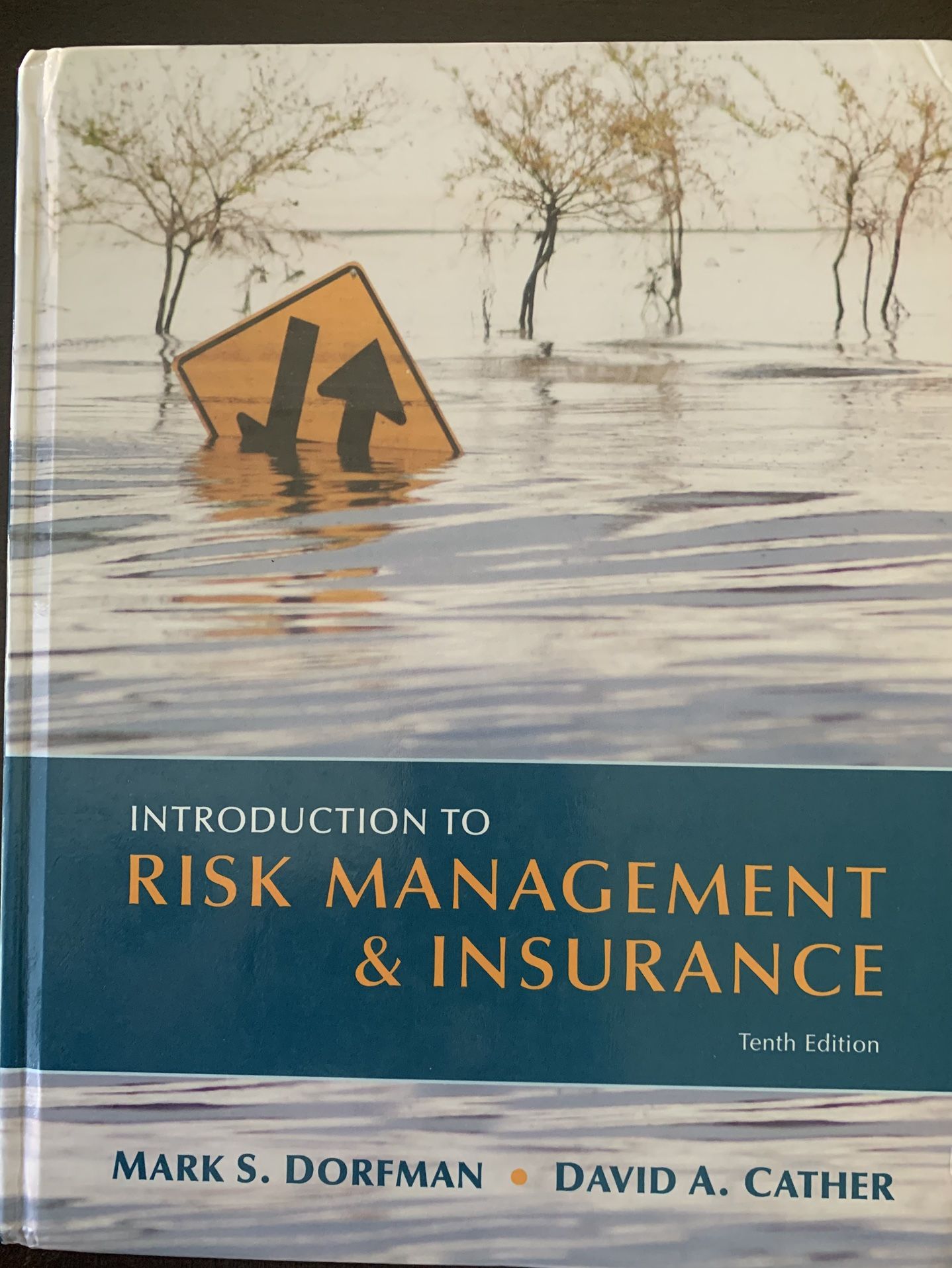 Introduction to Risk Management: $100