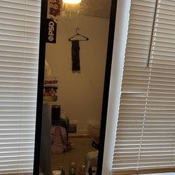 Room/Door Mirror