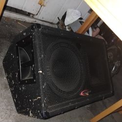 Speaker 