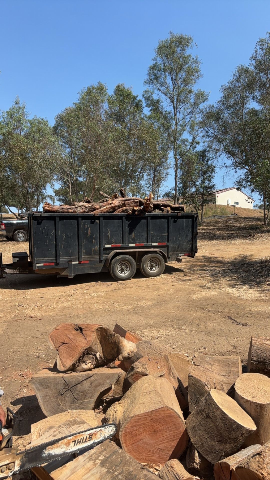 Firewood