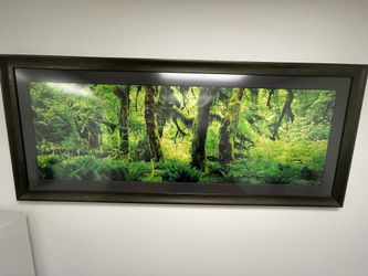 Peter Lik Fine Print Vershinin Art