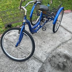 3 Wheeled Bike 