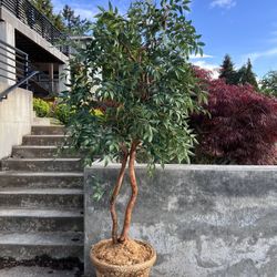 Faux Plant Olive Tree