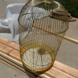 beautiful gold cage 