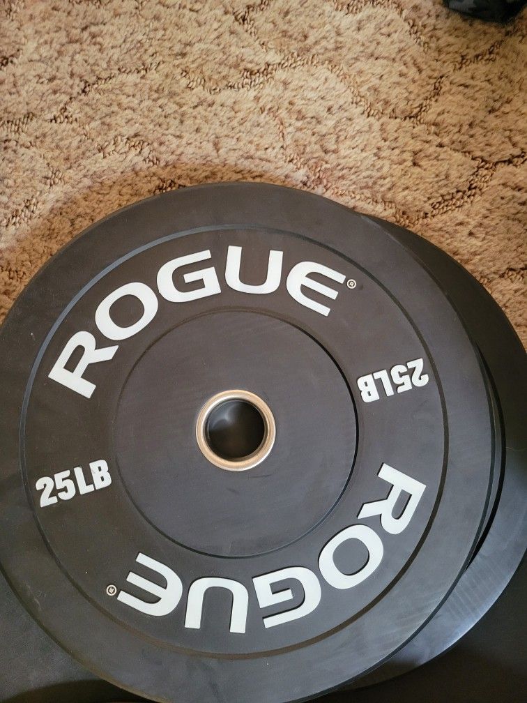 Rogue Echo Bumper Weight Plates 25 Lb
