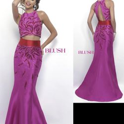 New With Tags Size 6 Blush Prom Gown $99