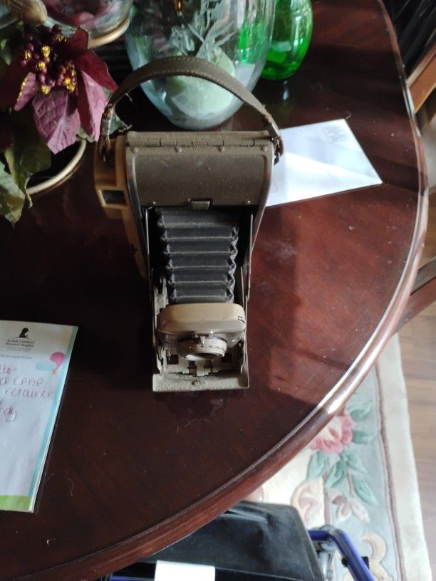 Antique Polaroid