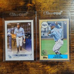 Vidal Brujan Baseball Card Collection!!
