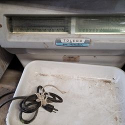 FREE, FREE, FREE! Old Style Commercial Scale