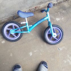SCHWINN LITTLE KIDS BIKE