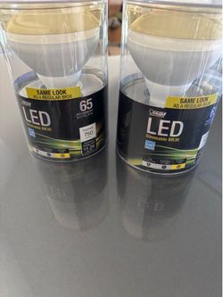 LED light bulbs