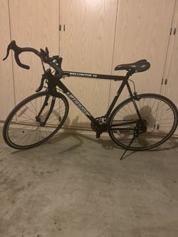 28” Windsor (Wellington) 2.0