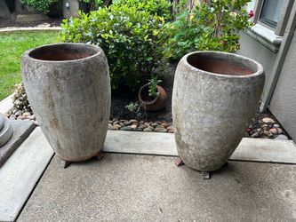 Plant Pots