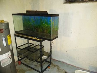 Many tanks from 2gal to 75gal