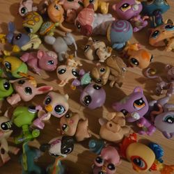 Little Pet Shop
