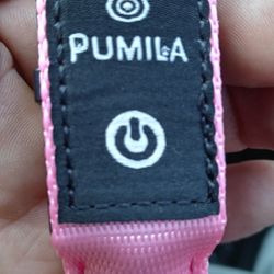 Pumila Led Small Collar For Dog